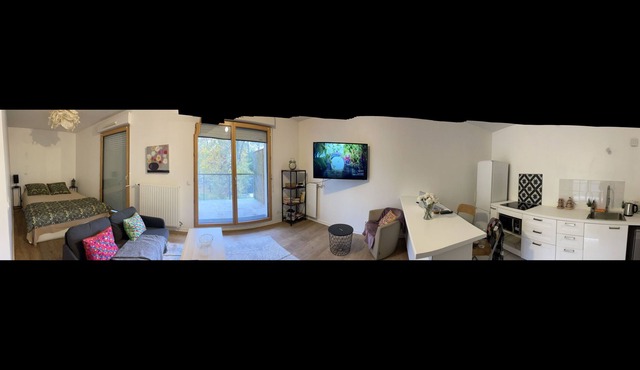 Luxury studio, bright 10 minutes from Cdg, Parc d'asterix