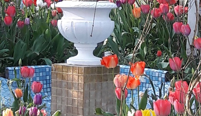 Maison Art et Jardin