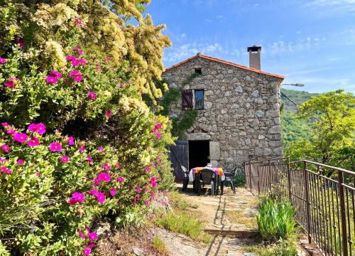 Maison charmante à Valleraugue avec piscine partagée.