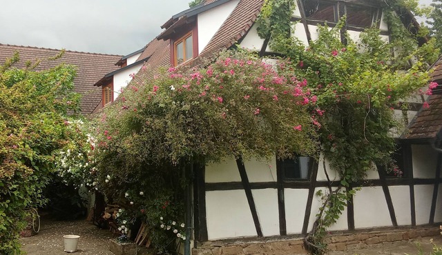 Maison des Vergers, nature meets craftsmanship