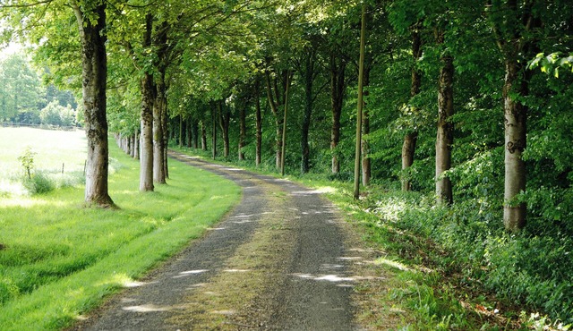 MAISON LA DELAIRIE "Calm in the countryside