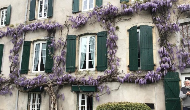 Maison Laclède