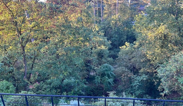 Maison nichée au cœur de la nature, dans le parc naturel régional du gâtinais.