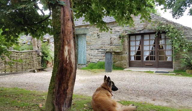 Maisonnette atypique au pied des monts d'Arree