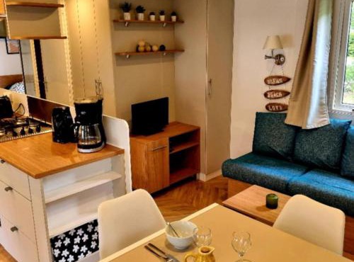 Mobil home avec terrasse - 3 chambres pour 8 pers - API-1-52-1558