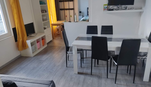 Newly renovated apartment in manor house, very close to town center