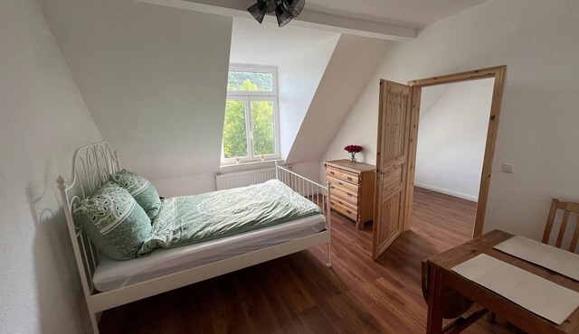Newly renovated duplex apartment in a central location in Jena! in Jena