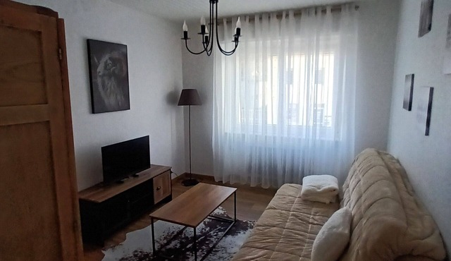 Nice apartment near Saarbrucken