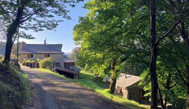Old sheepfold with forest view