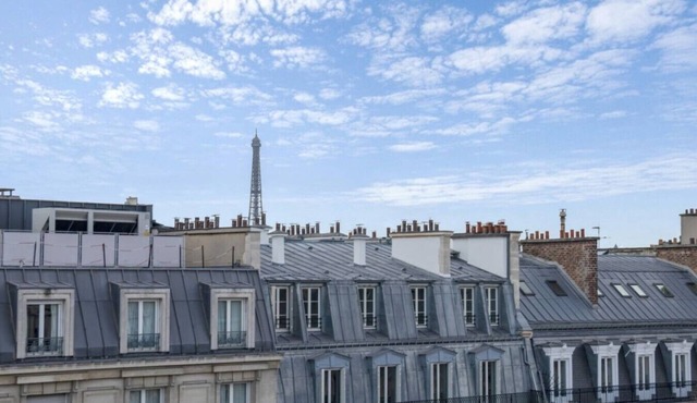 Parc Monceau-1 br-Haussmann-Effei Tower View-AC