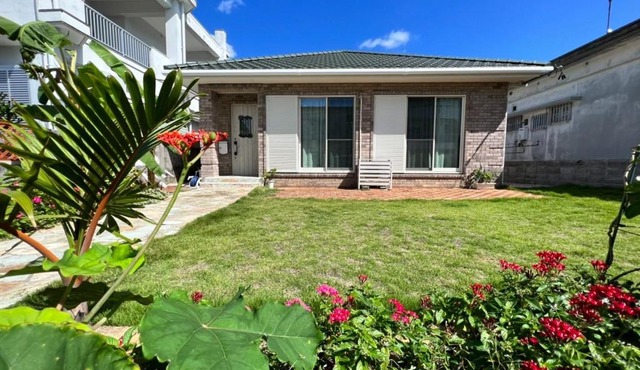 parm tree - Vacation STAY 06171v in Ishigaki Island
