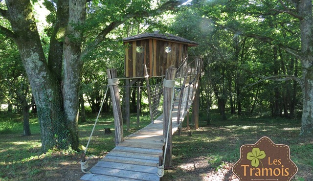 Perched guest room