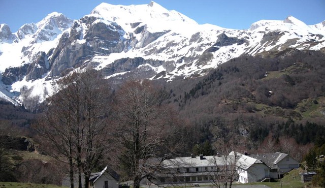 Peyranère