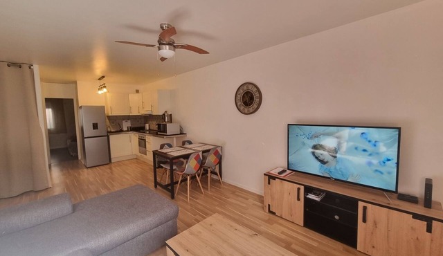 Pleasant Apartment T2 45M2 in the heart of the 1st spa town Dax