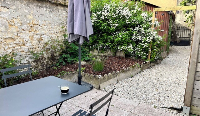 Pretty little house with garden, in the center of Provins
