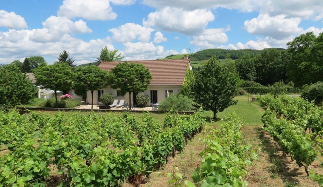Private contemporary two bedroom house between Santenay and Nolay