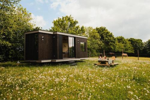 Puits Carré - Parcel Tiny House - Tiny House près des chevaux dans le Perche MAE-8941