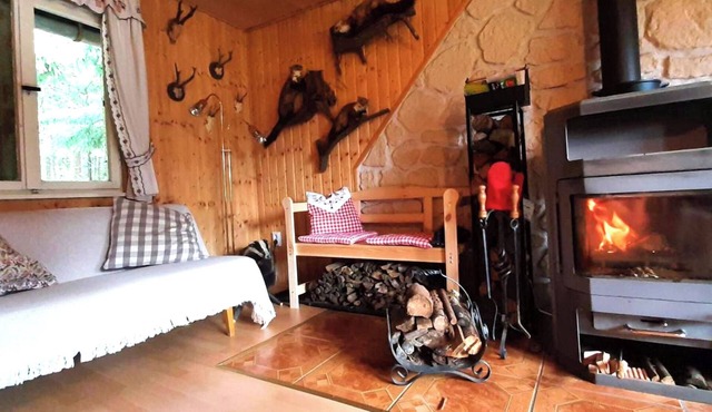 Quaint vacation home on the Rennsteig - sauna & fireplace! With Thüringer WaldCard All Incl. in Frauenwald