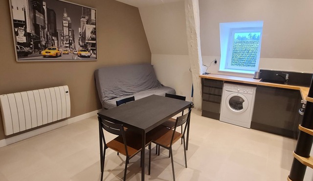 Renovated apartment in an old building