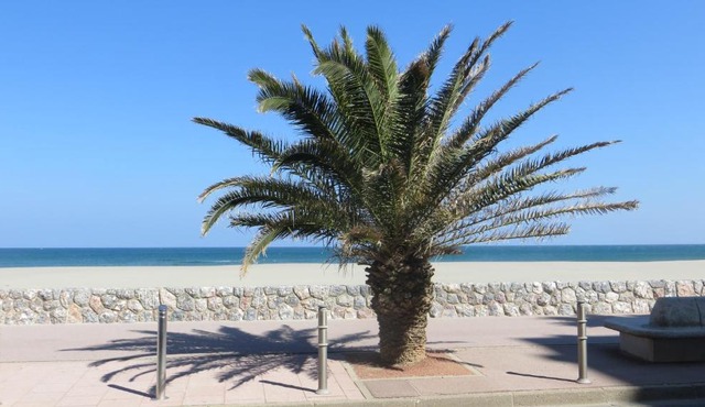 RESIDENCE LE NEULOS, T2 40m2 AVEC GARAGE PRIVE, 150 m de la mer, Avenue Roussillon Canet-Plage