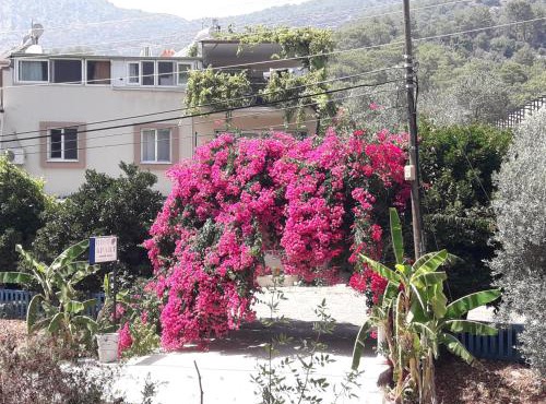 Rose Apart in Sarigerme