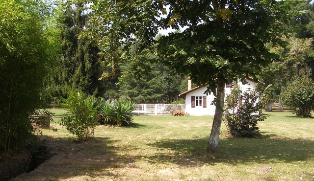 Rustic house with swimming pool in the heart of the Landes countryside