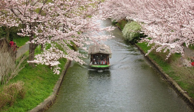 Secret Garden K.Y.O.T.O in Kyoto