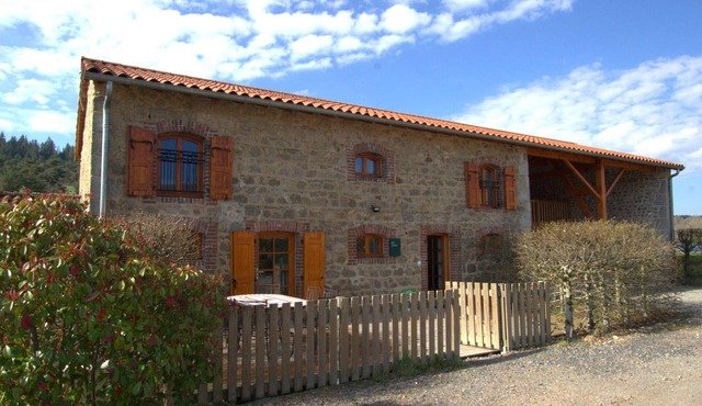 Spacious accommodation with terrace, nature, pets allowed