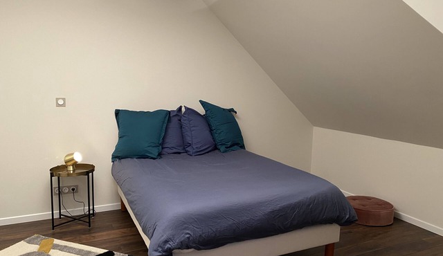 Spacious and elegant apartment 5' DISNEYLAND