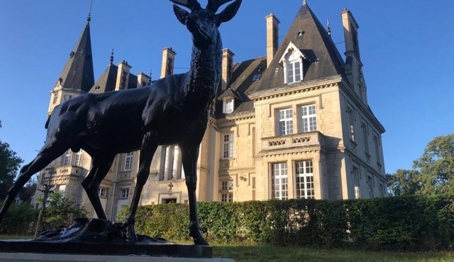 Stay in a chateau! 4 bedroom apartment with private pool near Paris!