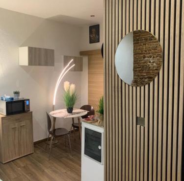 Studio 25m2 en plein cœur de Perpignan