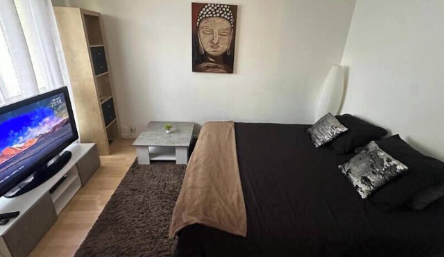 Studio Cocoon