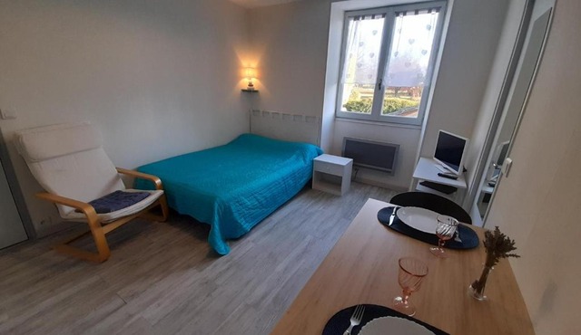Studio cosy avec Wi-Fi à 50m du centre, proche des Thermes - La Roche-Posay - FR-1-541-56