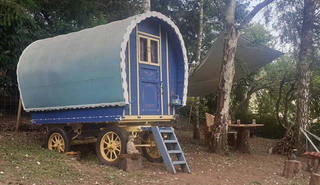 Stunning countryside bow top wagon