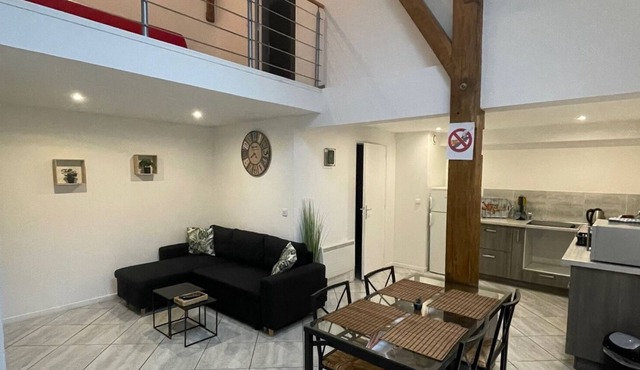 Superb apartment for 6 people "Le Familiale".