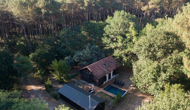 Surf shelter - House + annex - in the forest