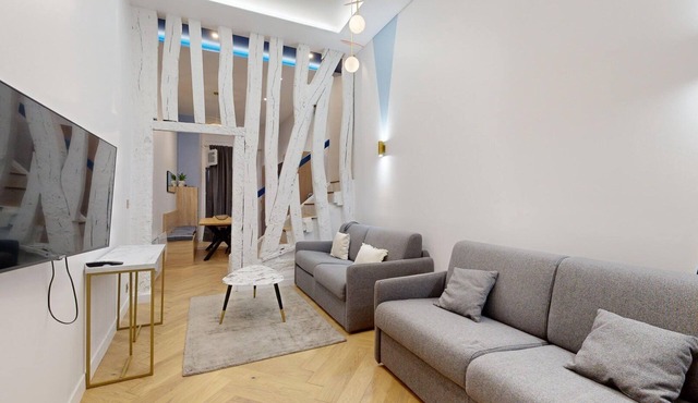 TBS 175 - Charming apartment in the heart of Paris