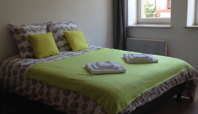 The chestnut - spacious studio in the city center