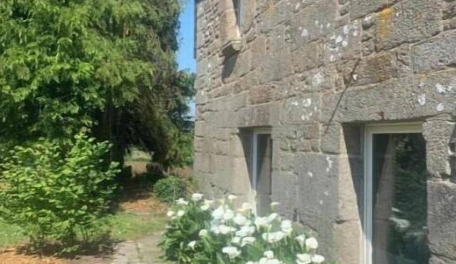 The front garden