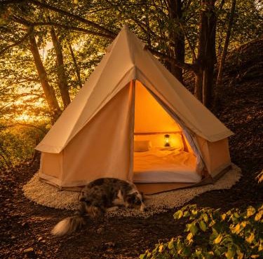 Tipi Nature a l'Ombre des Tilleuls à Vialas en Cévennes - Animaux ferme