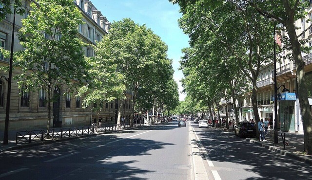 Top-of-the-Range Designer Stay–Daily Housekeeping –St Germain/Luxembourg Gardens