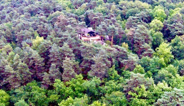 Two architect houses in the forest