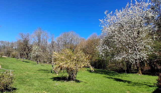 Un Temps Pour Soi - ANTULLY