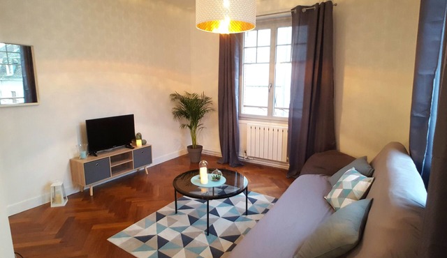 Very bright apartment in the historic center of joigny