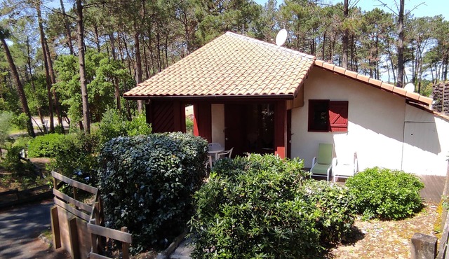 Villa/Studio under the pines, near the ocean and golf course -Pool -Large terrace
