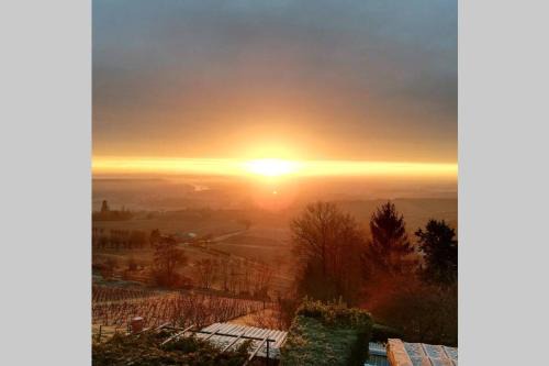 Vue panoramique sur le vignoble - 1D Rue Porte Oison, 18300 Sancerre