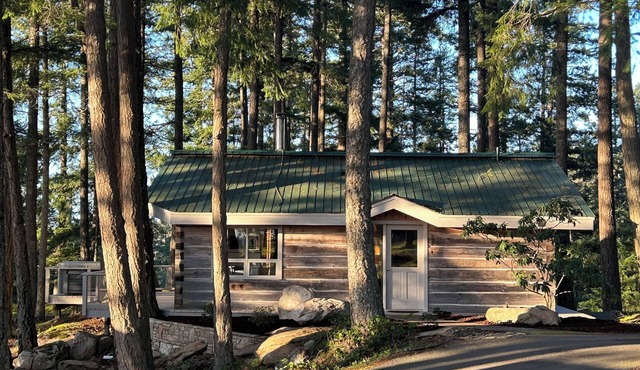 Welcome to Cloud 99! in Mayne Island