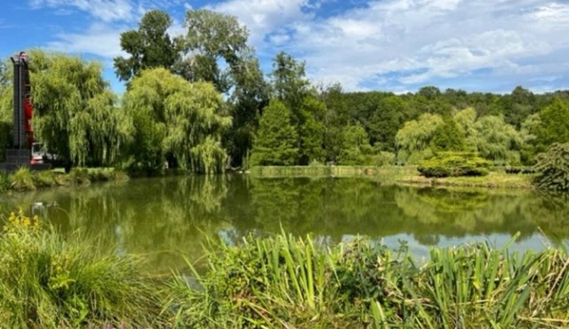 ZEcamping 3 étoiles dog friendly locatif 2 pers