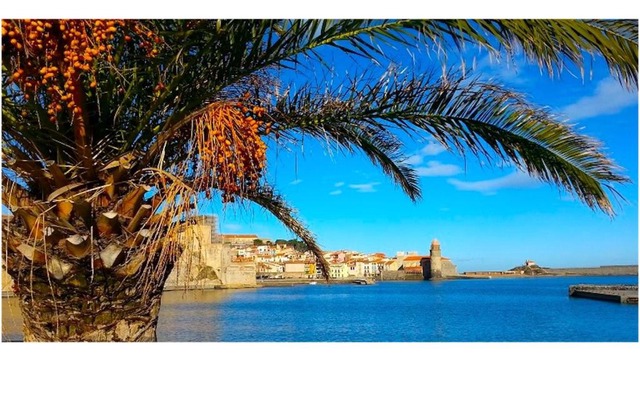 Résidence du Soleil & Spa - Collioure