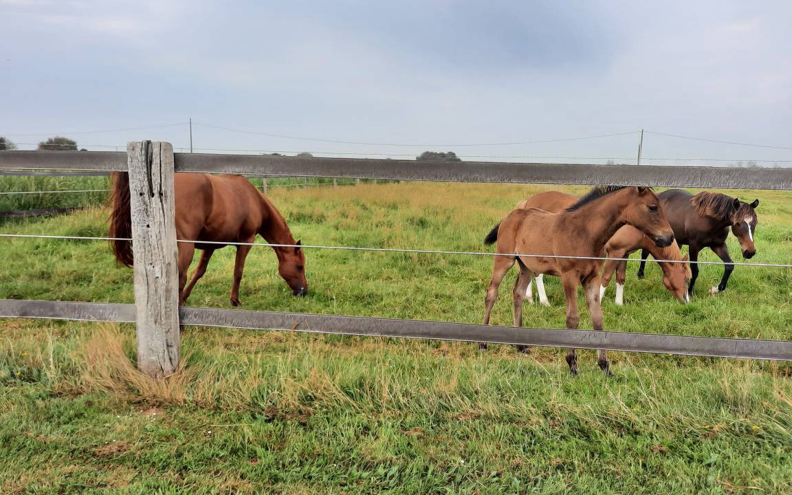 Photo of Others in Audouville-la-Hubert